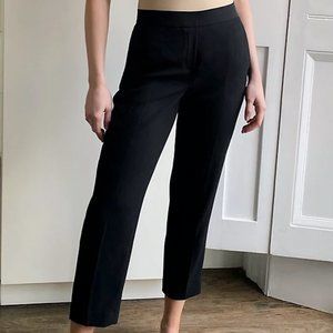Aritzia Babaton Conan Pant